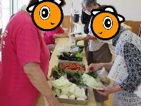350グラム野菜当てクイズです(8月)
