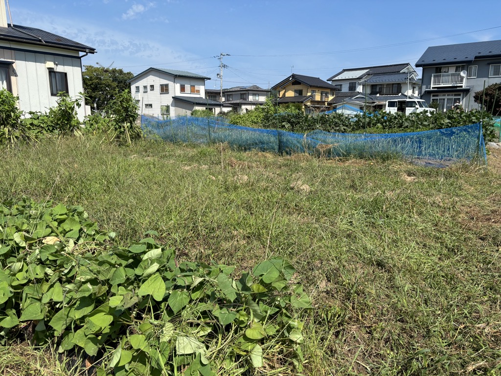 原野