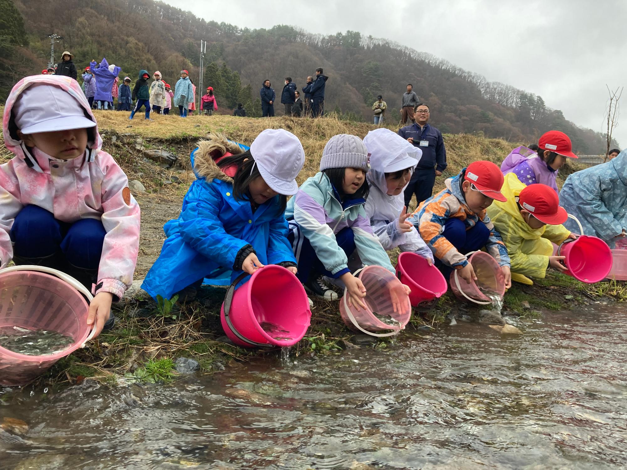 サケ稚魚の放流を行う児童たち