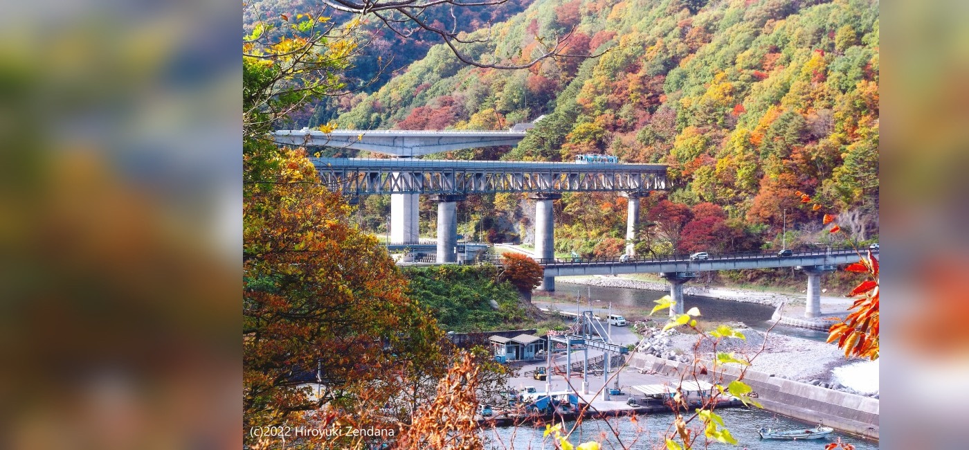 野田村フォトコンテストの野田村長賞作品「希望の道」撮影場所：下安家、川を跨いで三本の橋がある。
