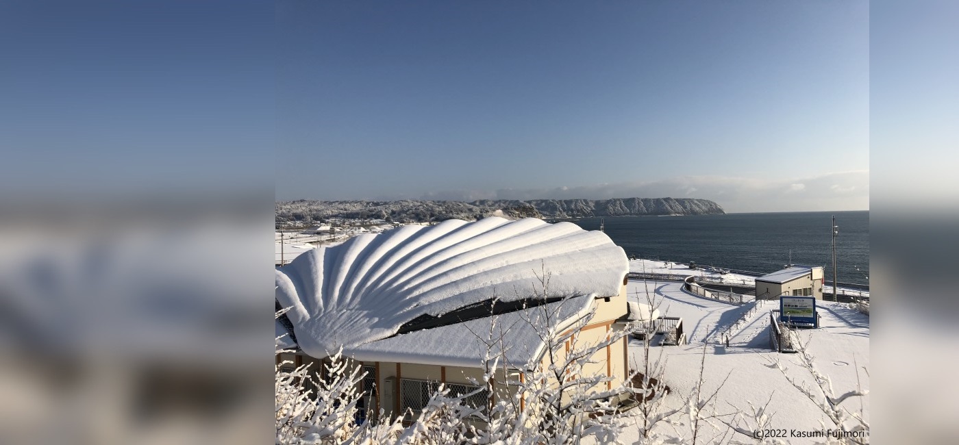 野田村フォトコンテストののんちゃん賞作品「ほたてんぼうだいのお色直し」撮影場所：ほたてんぼうだい付近、展望台の屋根が雪ですっぽり白くなり、白銀の景色に青い空と海がよく映えています。