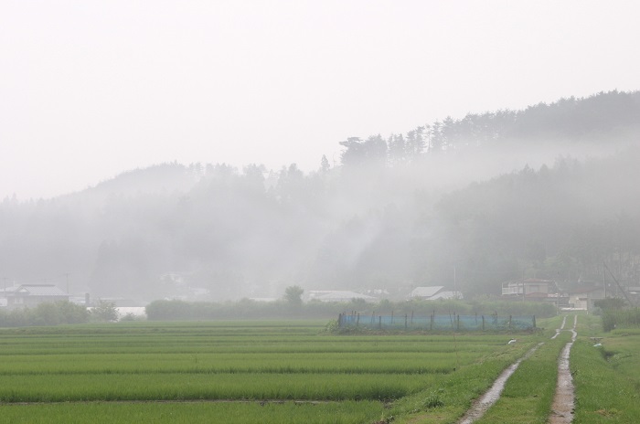 やませと呼ばれる冷たく湿った偏東風に見舞われる野田村