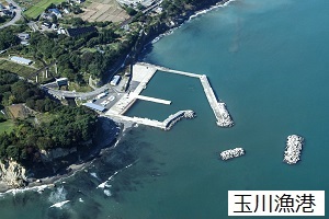 左側が陸地、漁港から3基の堤防が伸び、堤防の先に消波ブロックが2か所設置されている玉川漁港の航空写真