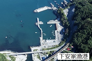 右側が陸地、漁港から堤波が伸び、海岸堤防前面に消波ブロックが設置されている安家漁港の航空写真