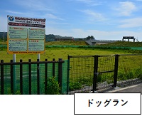 ドッグラン：入口左側に案内板があり、周りがフェンスで囲まれ青々とした芝生が生えているドッグランの写真