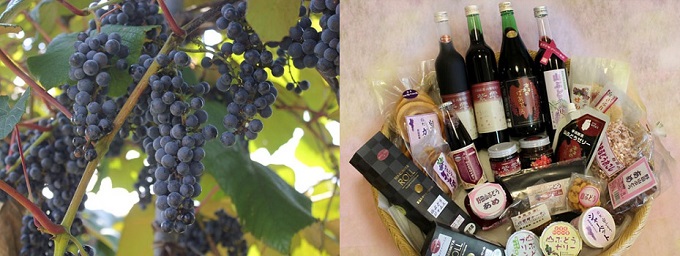 左：山ぶどうがたくさん実っている写真、右：ワインやあめ、シャーベット、ゼリーなどのいろいろな商品が籠に入っている写真