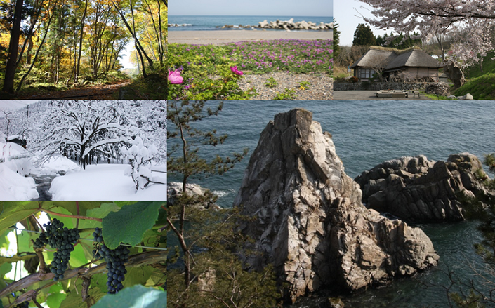 木々が茂った森の写真、ハマナスが咲いている海岸の写真、かやぶき屋根の日本家屋の写真、辺り一面と木々に雪が積もっている写真、海の中の切り立った大きな岩の写真、山ブドウの写真