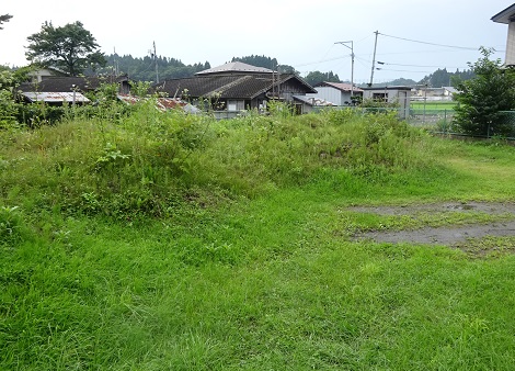辺り一面雑草が生い茂っており、周囲に数件の住宅がある前田小路地区の空き地の写真