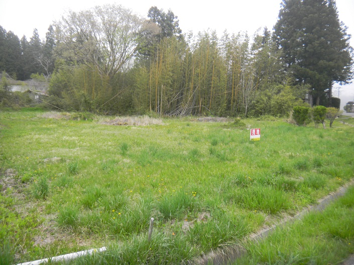 辺り一面雑草に覆われ、奥には竹藪があり、敷地内に売地の看板がたっている新山地区の空き地の写真