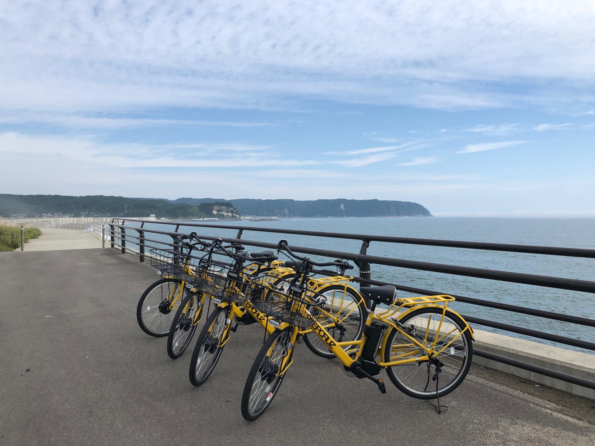 4台の黄色いレンタサイクルとその奥に見える十府ヶ浦の海岸の写真