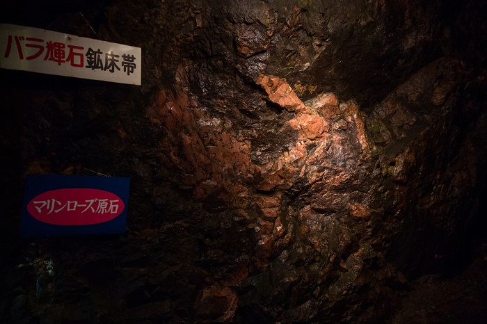 坑道内の岩壁に「バラ輝石鉱床帯」「マリンローズ原石」と表示され、光が当てられている坑道内の展示箇所の写真