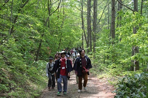 木々の生えた森林の中の道を歩いているトレッキングツアー参加者の方々の写真