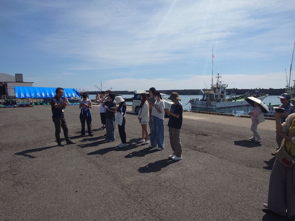 甚大な被害を受けたものの、見事に復活を遂げた野田漁港