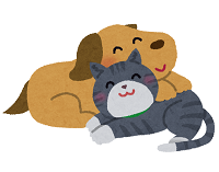 仲良く寄り添う犬と猫のイラスト